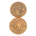 2022 Antique Bronze Riding Lieutenant Doubloon