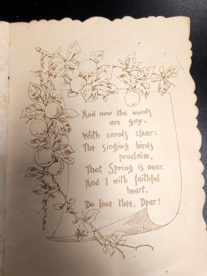 Antique Victorian Valentines Day Card - Die-Cut Lace, Flowers, Boy, Flute, Pop-Up