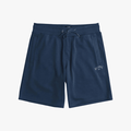 Billabong Boys Arch Shorts Navy | Billabong