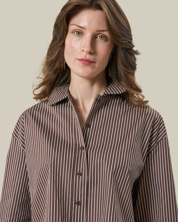 Brown Striped Cropped Shirt