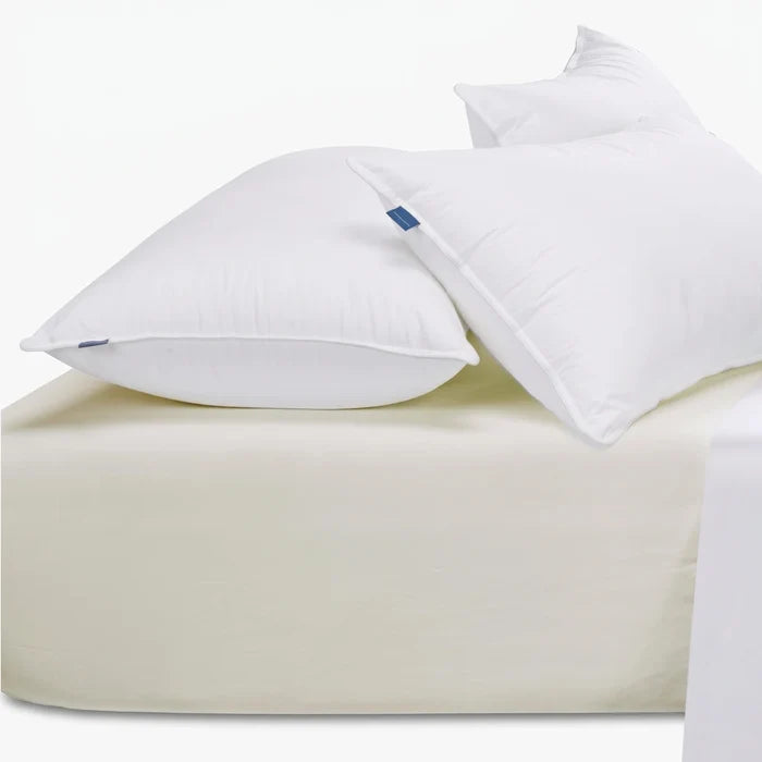 Cream Cotton Co 400 thread count Queen fitted sheet with two white pillows on a bed, showcasing soft texture and quality.