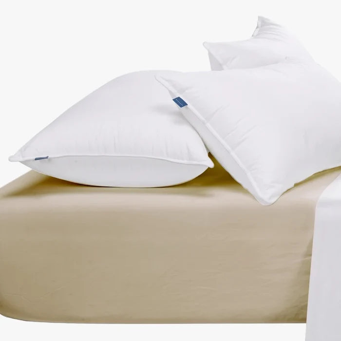 Cotton Co 400 thread fitted queen sheet in stone color, displayed with two soft white pillows on a bed.