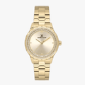 Daniel Klein Premium Champagne Dial Analogue Watch Daniel Klein