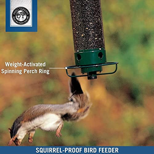 Droll Yankees YF-M Yankee Flipper Squirrel-Proof Bird Feeder, 17.25", Green