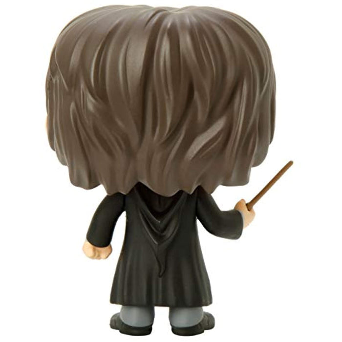 Funko POP! Harry Potter HARRY POTTER Figure #01 w/ Protector