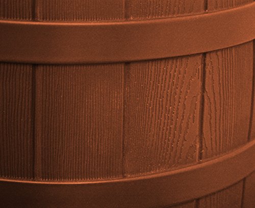Good Ideas RW50-TC Rain Wizard Water Storage Rain Collection Rain Barrel 50-Gallon, Terra Cotta