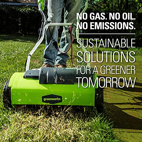 Greenworks 14-Inch 10 Amp Corded Dethatcher 27022, Green