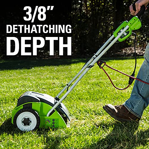 Greenworks 14-Inch 10 Amp Corded Dethatcher 27022, Green