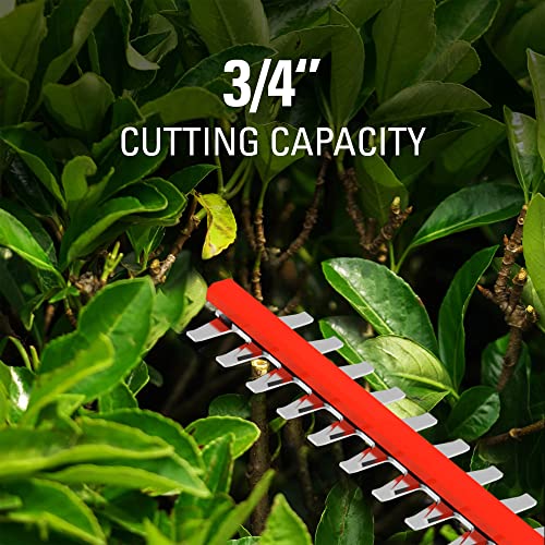 Greenworks 40V 24" Brushless Cordless Hedge Trimmer, Tool Only