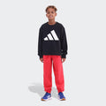 Adidas Kids Bl Ft Sweatpants Ruby Adidas