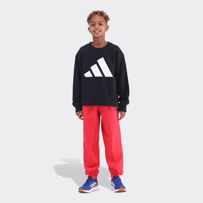 Adidas Kids Bl Ft Sweatpants Ruby Adidas