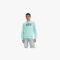 Levi's Mens Standard Fit Graphic Crewneck Sweatshirt Pastel Turquoise | Levi's