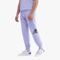 Adidas Mens Bl Ft Pt4 Pants Pre Purple | Adidas