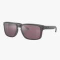 Oakley Holbrook Prizm Daily Polarized Steel Frame | Oakley