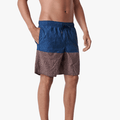Oniell Mens Sideline Volley Shorts Blue Brown Oneill