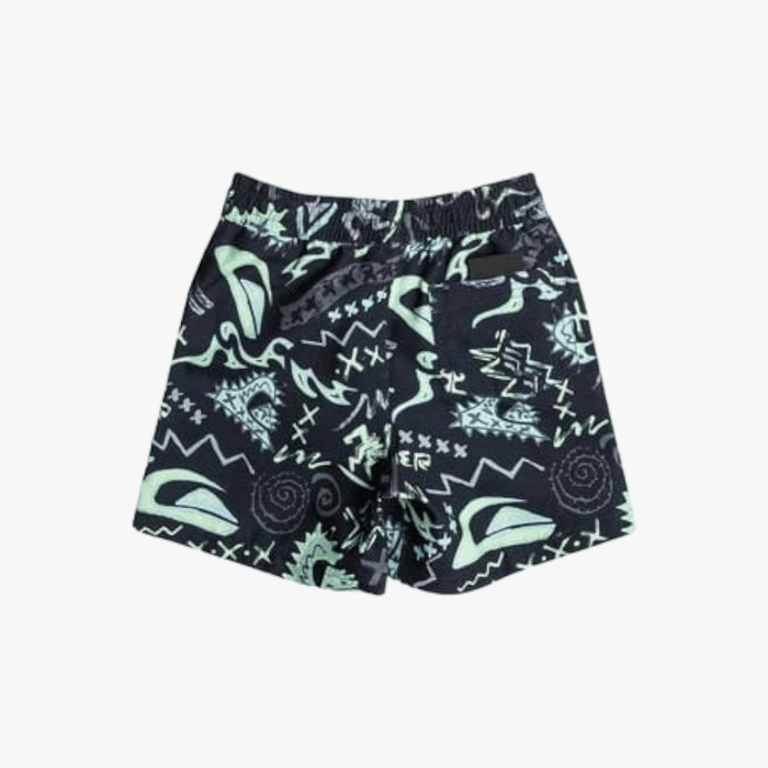 Quiksilver Boys Next Gen Volley 12" Shorts Black | Quiksilver
