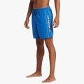 Quiksilver Mens Everyday Vert Volley 2 17" Shorts Nebulas Blue | Quiksilver