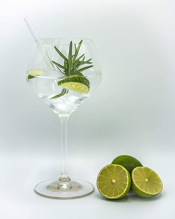 RIEDEL GIN SET EXTREME